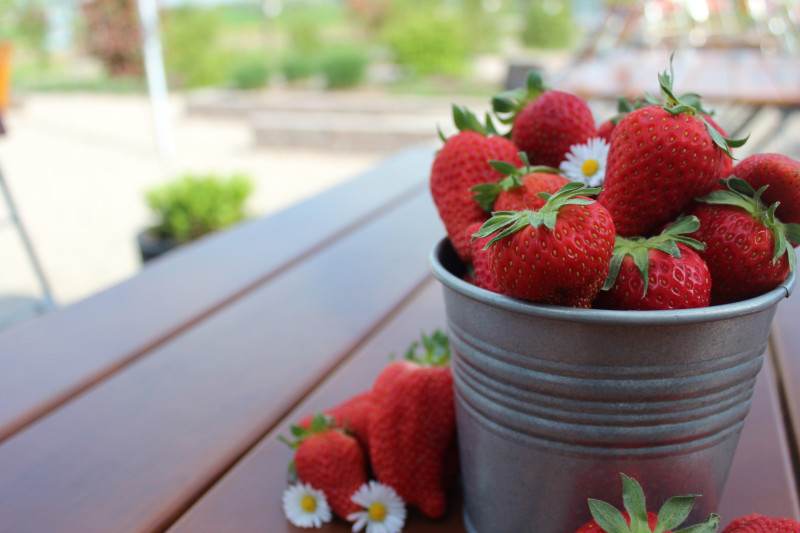 24.04.19 Erdbeeren
