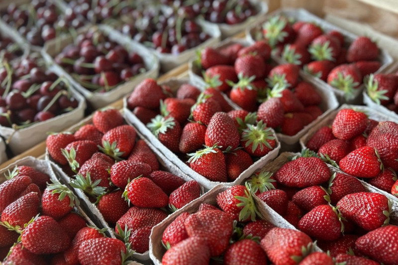 Erdbeeren Kirschen